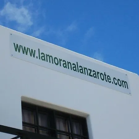 Morana (adults Only) Puerto del Carmen (Lanzarote)