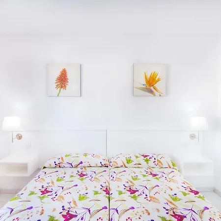 Morana (adults Only) *