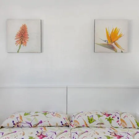 Morana (adults Only)