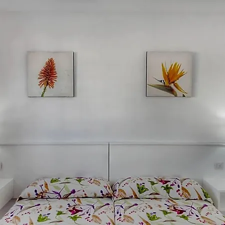 Apartment Morana (adults Only) *