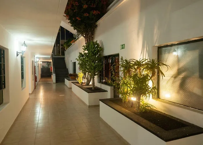 Morana (adults Only) *